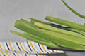 Original art for sale at UGallery.com | Scallions on Stripes by Christopher Garvey | $700 | oil painting | 10' h x 20' w | thumbnail 4