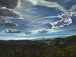 Original art for sale at UGallery.com | Close to Heaven by Mandy Main | $3,200 | oil painting | 36' h x 48' w | thumbnail 1