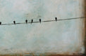 Original art for sale at UGallery.com | Conversation Peace by Sally Adams | $1,400 | acrylic painting | 24' h x 48' w | thumbnail 4