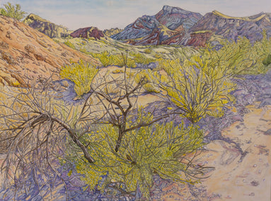 mixed media artwork by Crystal DiPietro titled Desert Wash