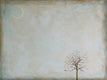 Original art for sale at UGallery.com | December II by Sally Adams | $3,175 | acrylic painting | 36' h x 48' w | thumbnail 2