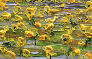 Desert Spring by Lisa Elley |   Closeup View of Artwork 