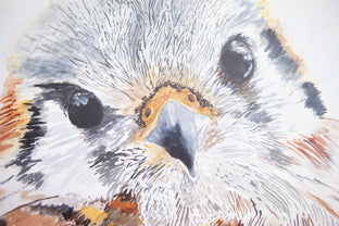 Kenati the Calm Kestrel by Emil Morhardt |   Closeup View of Artwork 