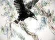 Original art for sale at UGallery.com | Flying Raven in the Woods by Suren Nersisyan | $500 | watercolor painting | 18' h x 24' w | thumbnail 3