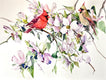 Original art for sale at UGallery.com | Cardinals and Dogwood by Suren Nersisyan | $400 | watercolor painting | 18' h x 24' w | thumbnail 1