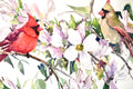 Original art for sale at UGallery.com | Cardinals and Dogwood by Suren Nersisyan | $400 | watercolor painting | 18' h x 24' w | thumbnail 2