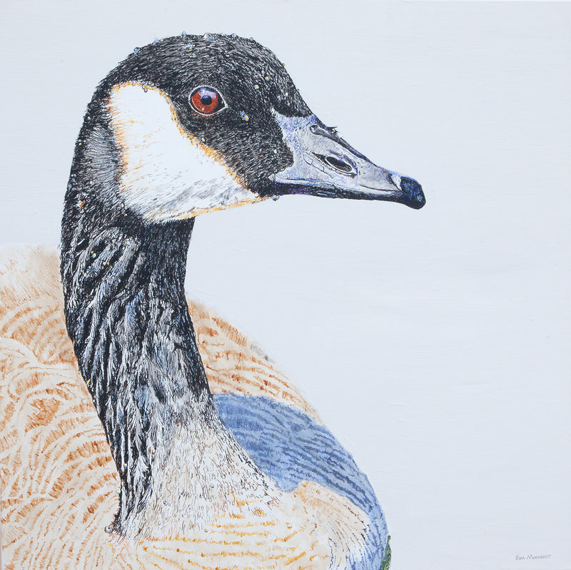 canadian goose drawing