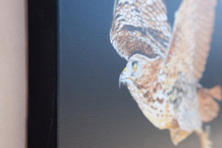 Red-Tailed Hawk at Night by Emil Morhardt |  Side View of Artwork 