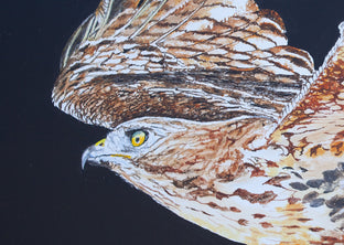 Red-Tailed Hawk at Night by Emil Morhardt |  Context View of Artwork 