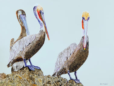 acrylic painting by Emil Morhardt titled Three Pelicans