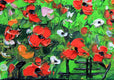 Original art for sale at UGallery.com | My Poppy Field by Lisa Elley | $275 | oil painting | 8' h x 10' w | thumbnail 4