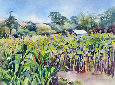 watercolor painting by Catherine McCargar titled Girasoli nel Giardino