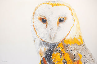 Athena the Barn Owl #3 by Emil Morhardt |  Artwork Main Image 