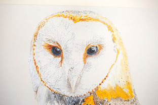 Athena the Barn Owl #3 by Emil Morhardt |   Closeup View of Artwork 