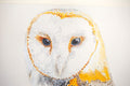 Original art for sale at UGallery.com | Athena the Barn Owl #3 by Emil Morhardt | $1,525 | acrylic painting | 24' h x 36' w | thumbnail 4