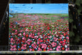 Original art for sale at UGallery.com | Field of Hope by Lisa Elley | $300 | oil painting | 8' h x 10' w | thumbnail 3