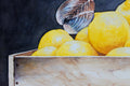 Original art for sale at UGallery.com | Clam Bed by Dwight Smith | $375 | watercolor painting | 7' h x 10' w | thumbnail 4