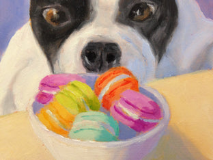 Boston Terrier with Macarons by Pat Doherty |   Closeup View of Artwork 