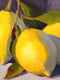 Original art for sale at UGallery.com | Carolyn's Lemons by Pat Doherty | $975 | oil painting | 16' h x 20' w | thumbnail 4