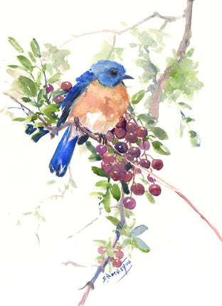 Bluebird and Berries by Suren Nersisyan |  Artwork Main Image 