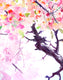 Original art for sale at UGallery.com | Cherry Blossom (Sakura) by Suren Nersisyan | $500 | watercolor painting | 30' h x 22' w | thumbnail 2