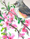 Original art for sale at UGallery.com | Titmouse and Sakura (Cherry Blossom) by Suren Nersisyan | $350 | watercolor painting | 14' h x 11' w | thumbnail 3