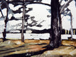 Original art for sale at UGallery.com | Jack's Island by Chris Wagner | $400 | watercolor painting | 11' h x 14' w | thumbnail 1