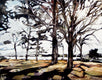 Original art for sale at UGallery.com | Jack's Island by Chris Wagner | $400 | watercolor painting | 11' h x 14' w | thumbnail 2