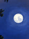 Original art for sale at UGallery.com | Daydreaming the Moon by Jesse Aldana | $1,400 | oil painting | 36' h x 18' w | thumbnail 4