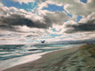 Original art for sale at UGallery.com | There Might Be Something in the Water by Jesse Aldana | $4,600 | oil painting | 36' h x 48' w | thumbnail 1