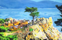 Original art for sale at UGallery.com | Costal Impressions - The Lone Cypress by John Jaster | $1,300 | acrylic painting | 24' h x 36' w | thumbnail 1