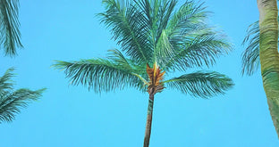 Dreaming of Palm Trees by John Jaster |   Closeup View of Artwork 