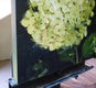 Original art for sale at UGallery.com | Green Hydrangea by Judy Mackey | $950 | oil painting | 20' h x 20' w | thumbnail 2