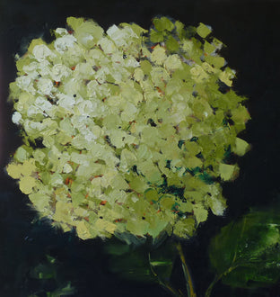 Green Hydrangea by Judy Mackey |  Artwork Main Image 