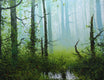 Original art for sale at UGallery.com | Forest Mist by Kent Sullivan | $1,300 | oil painting | 16' h x 20' w | thumbnail 1