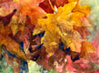 Original art for sale at UGallery.com | Magic & Leaves by Melissa Gannon | $325 | mixed media artwork | 11' h x 15' w | thumbnail 1