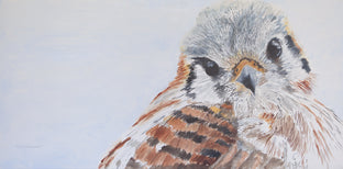 Kenati the Calm Kestrel by Emil Morhardt |  Artwork Main Image 