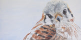 Original art for sale at UGallery.com | Kenati the Calm Kestrel by Emil Morhardt | $1,000 | acrylic painting | 15' h x 30' w | thumbnail 1