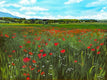 Original art for sale at UGallery.com | Red Poppies-Commission by Mandy Main | $4,000 | oil painting | 36' h x 48' w | thumbnail 2