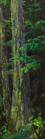 oil painting by Mandy Main titled Sequoia