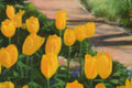 Original art for sale at UGallery.com | Jefferson Market Garden in Spring by Nick Savides | $875 | oil painting | 12' h x 9' w | thumbnail 4