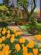 Original art for sale at UGallery.com | Jefferson Market Garden in Spring by Nick Savides | $875 | oil painting | 12' h x 9' w | thumbnail 1