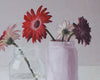 Original art for sale at UGallery.com | Garden Blossoms by Nicole Lamothe | $275 | oil painting | 8' h x 10' w | thumbnail 4