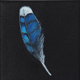 Blue Jay Feather by Jennifer Ross |  Artwork Main Image 