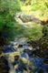 Original art for sale at UGallery.com | River Ravine by Onelio Marrero | $2,250 | oil painting | 40' h x 24' w | thumbnail 4