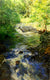 Original art for sale at UGallery.com | River Ravine by Onelio Marrero | $2,250 | oil painting | 40' h x 24' w | thumbnail 1