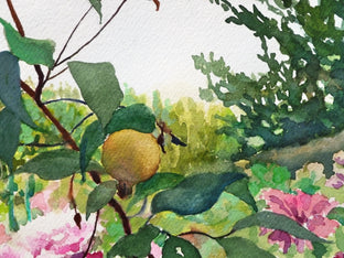 Pears and Blossoms at Giverny by Catherine McCargar |   Closeup View of Artwork 