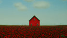 Original art for sale at UGallery.com | Poppies by the Red Barn by Sharon France | $450 | acrylic painting | 8' h x 16' w | thumbnail 2