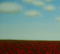 Original art for sale at UGallery.com | Poppies by the Red Barn by Sharon France | $450 | acrylic painting | 8' h x 16' w | thumbnail 3