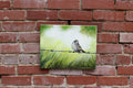 Original art for sale at UGallery.com | Bird on a Barbed Wire by Shela Goodman | $300 | oil painting | 11' h x 14' w | thumbnail 3